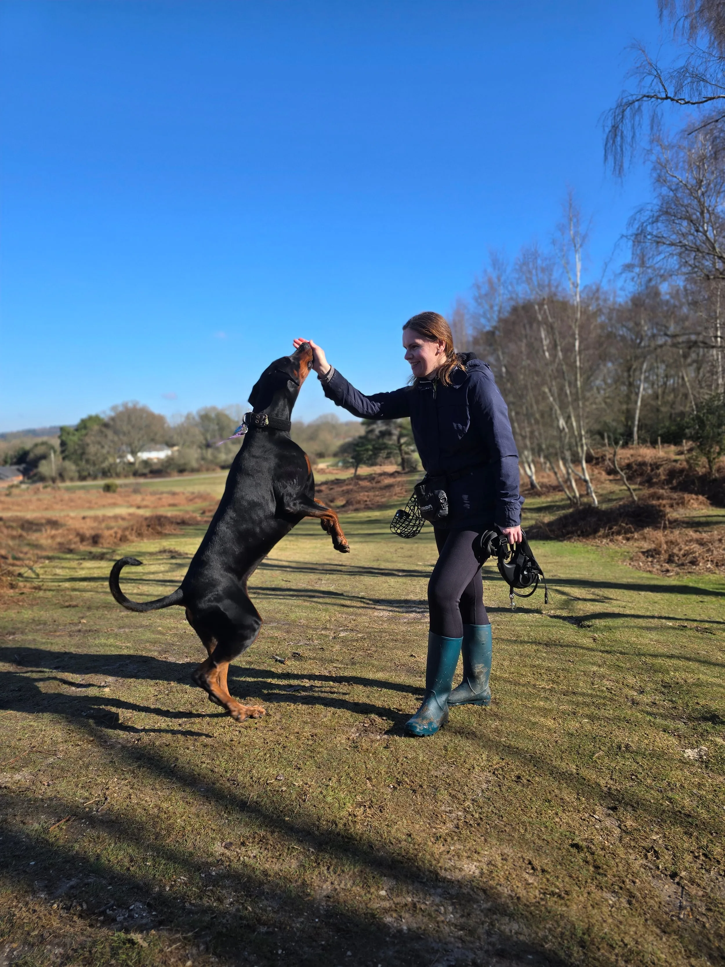 Assessment session in the New Forest