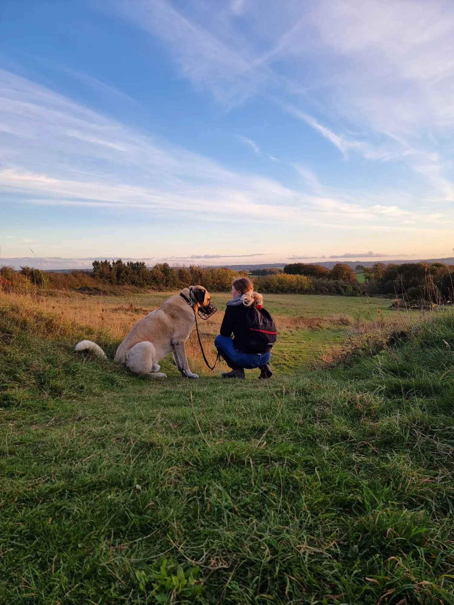 Walk in Dorset