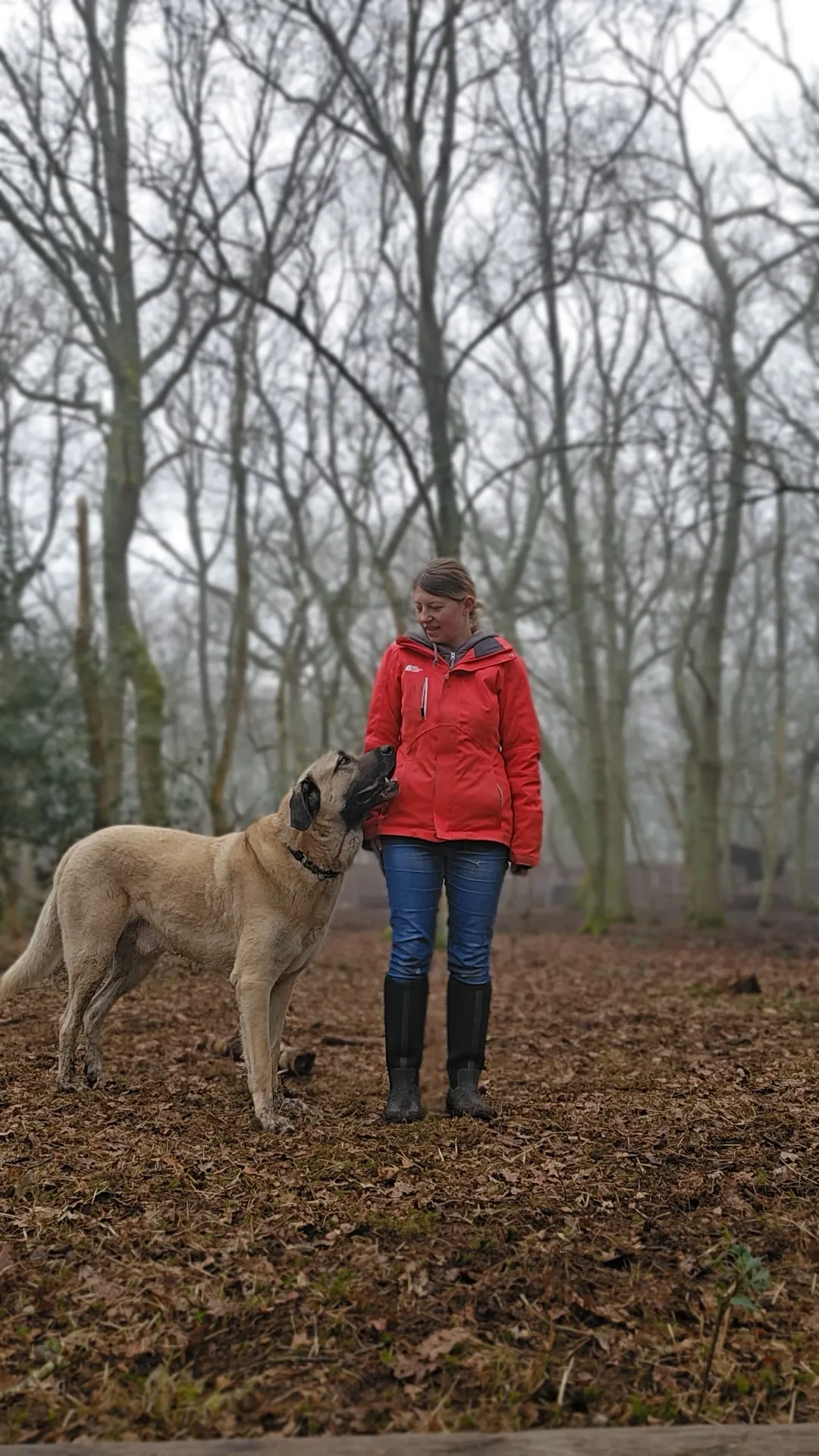 Monika and Aslan in the woods