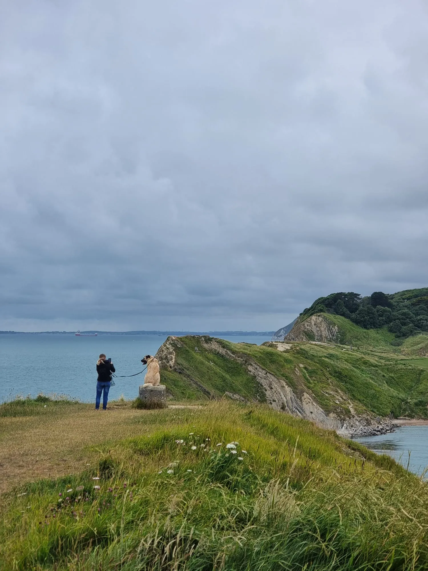 Walk in Dorset