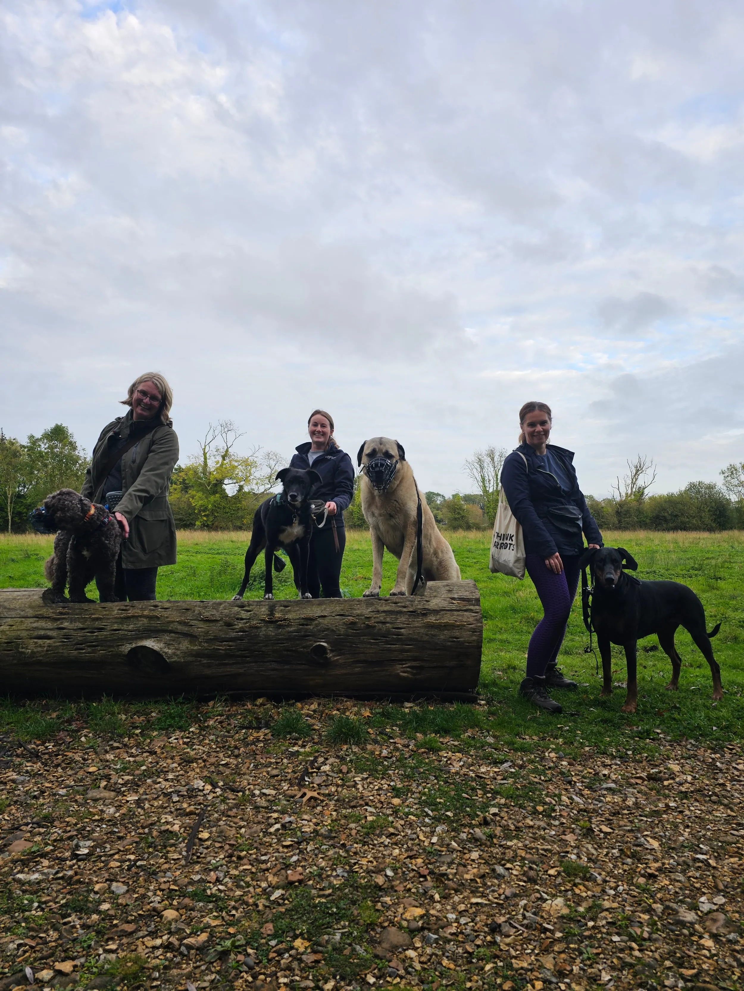 Neutral walk at Canford Sang