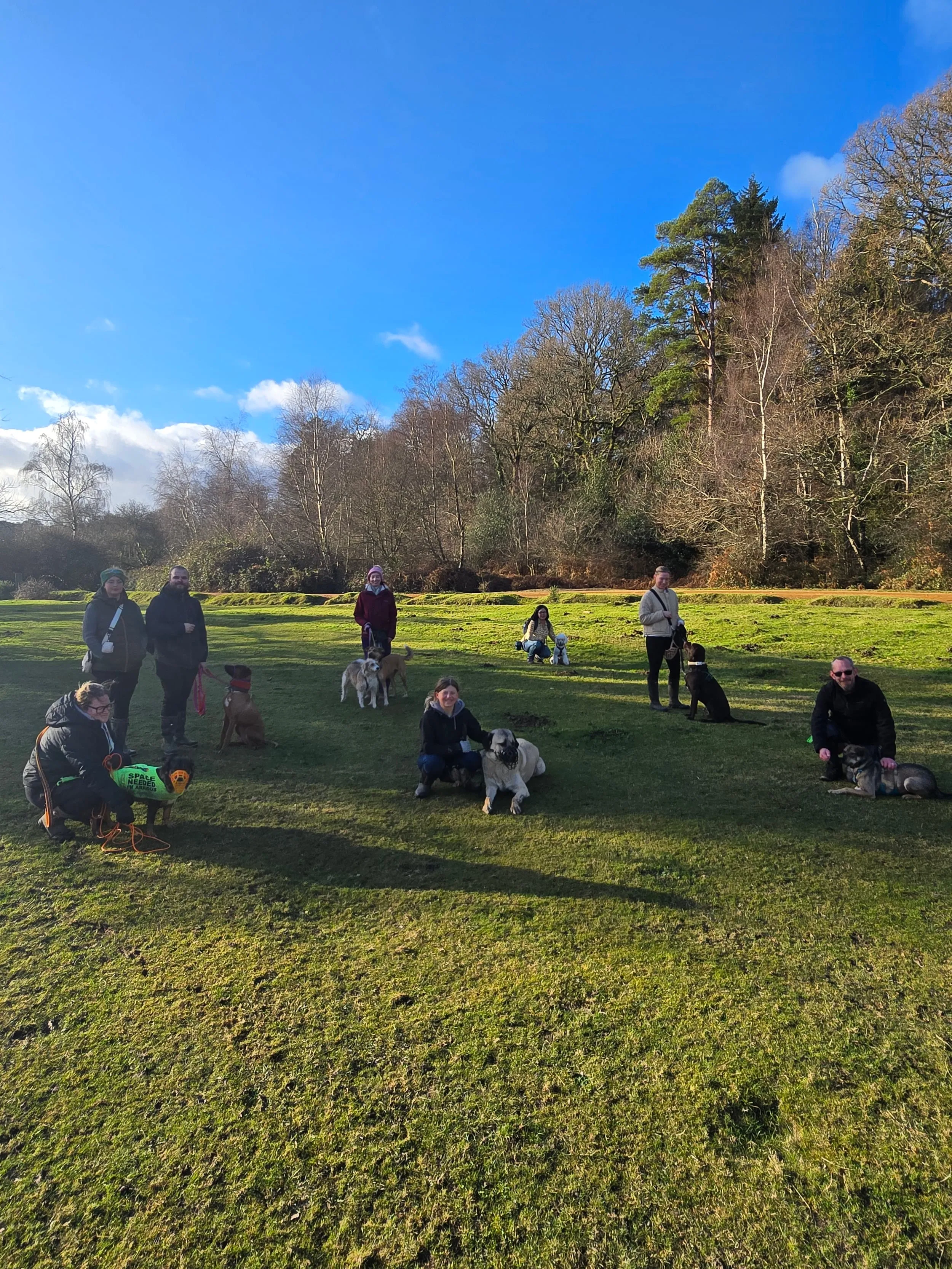 Neutral walk in the New Forest