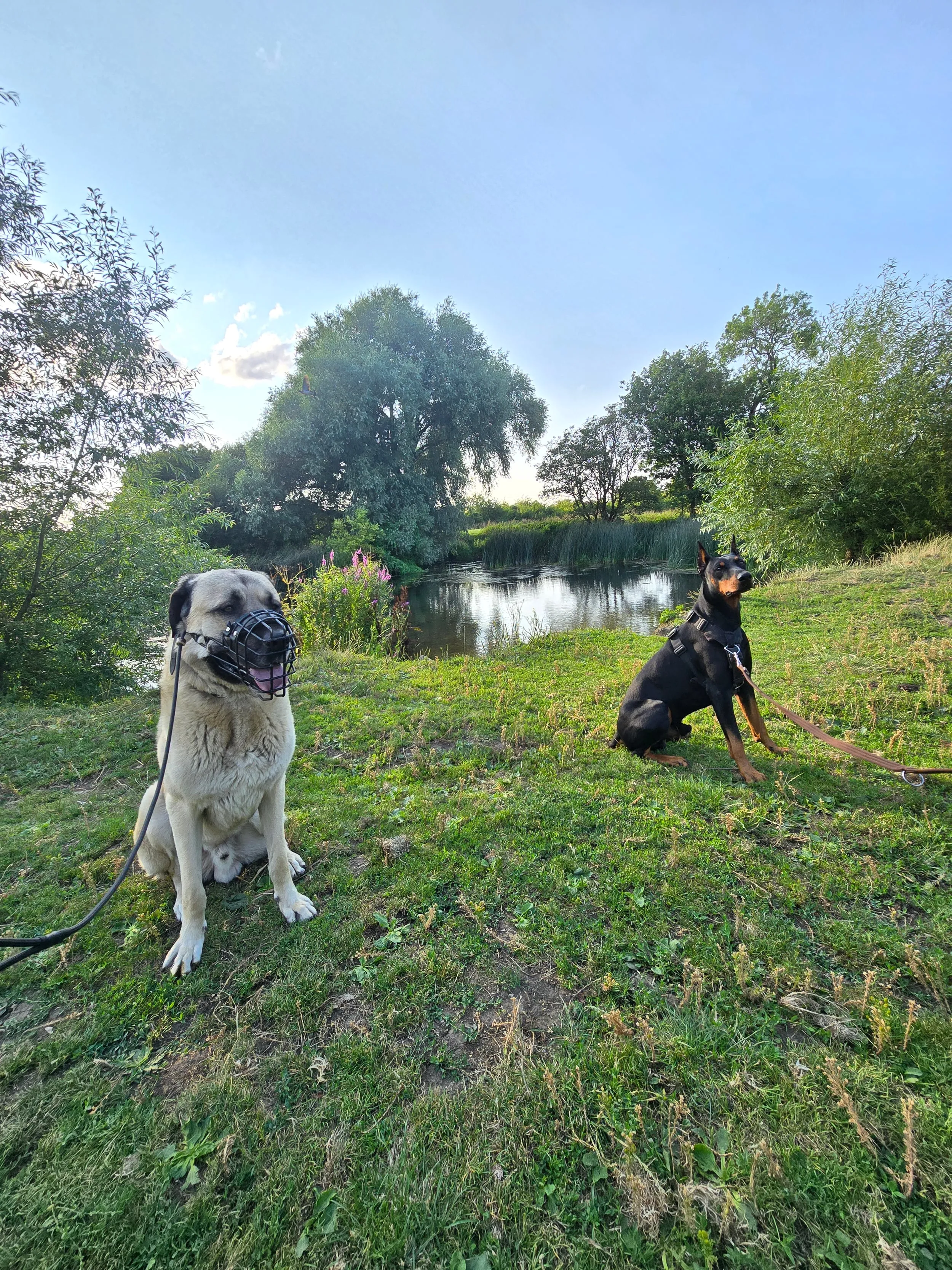 Neutral walk at Stour Valley Nature Reserve