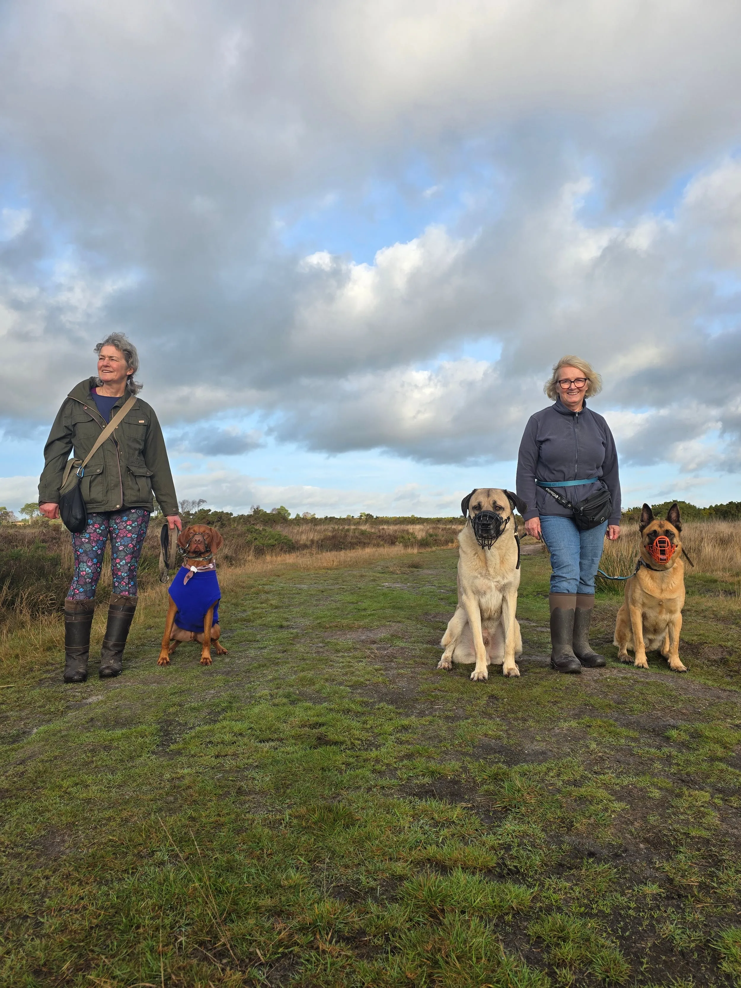 Neutral Walk Group at Holt Heath