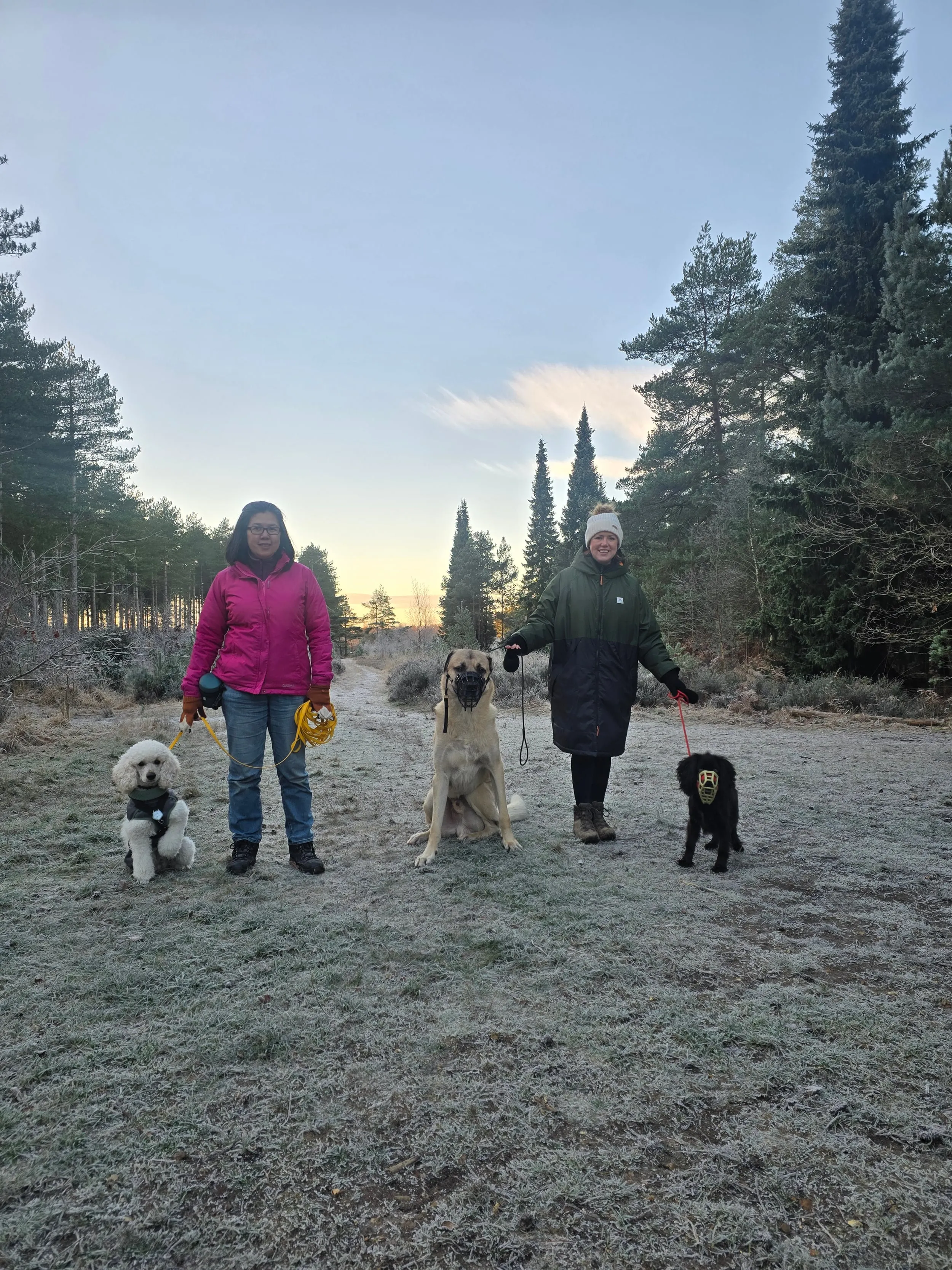 Neutral walk at Hurn Forest