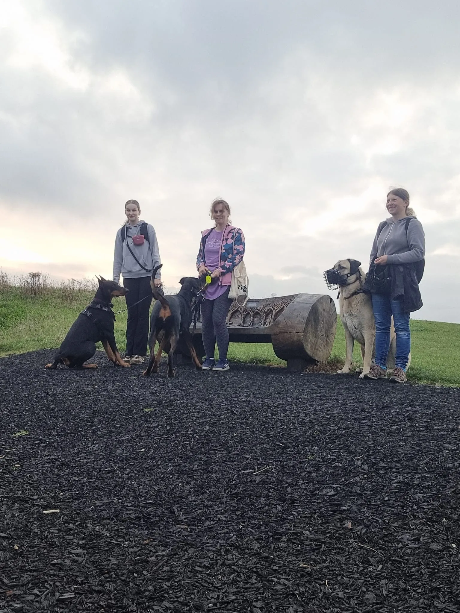 Neutral walk at Hengistbury Head