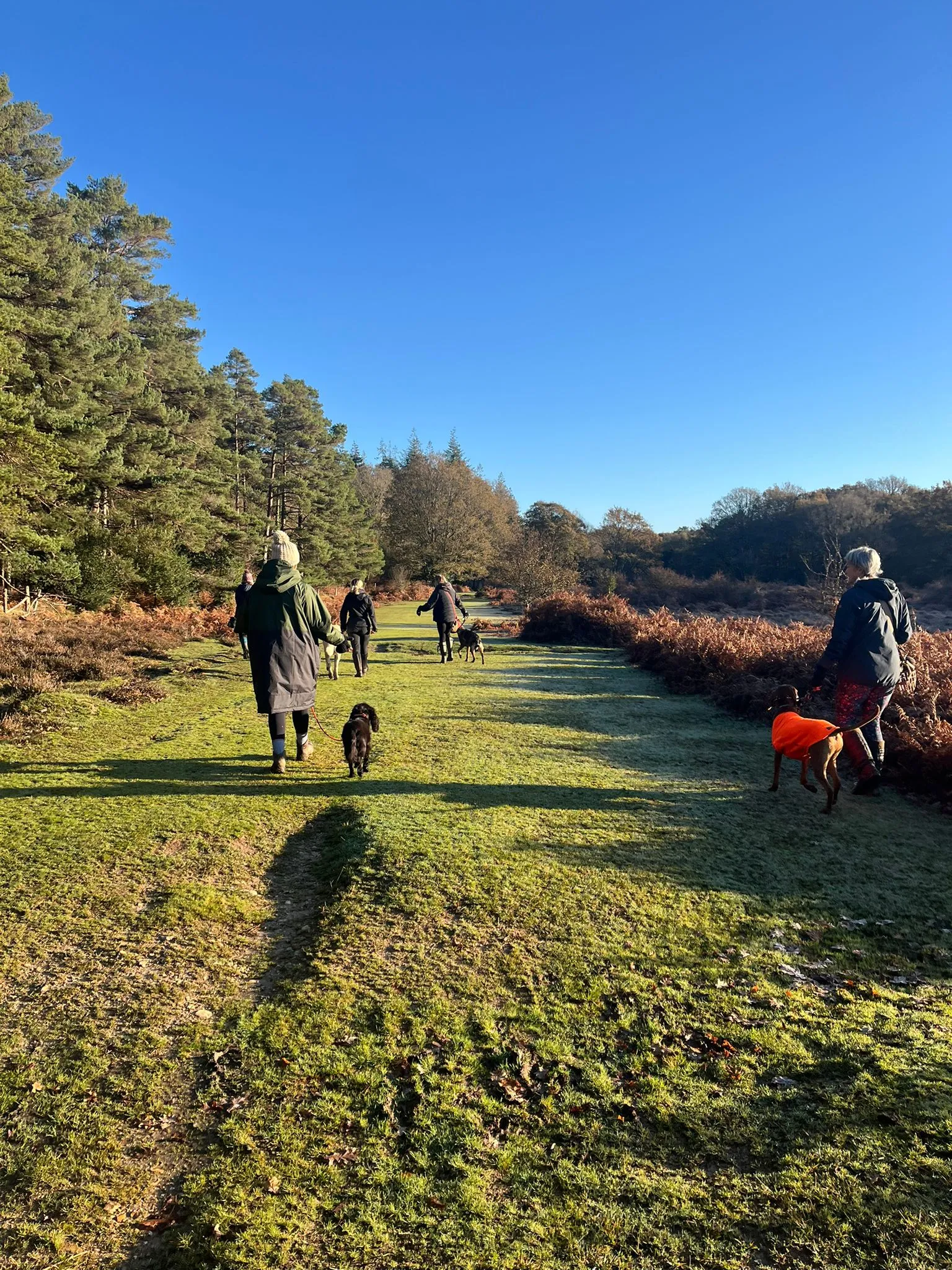 Neutral walk at Linford Bottom
