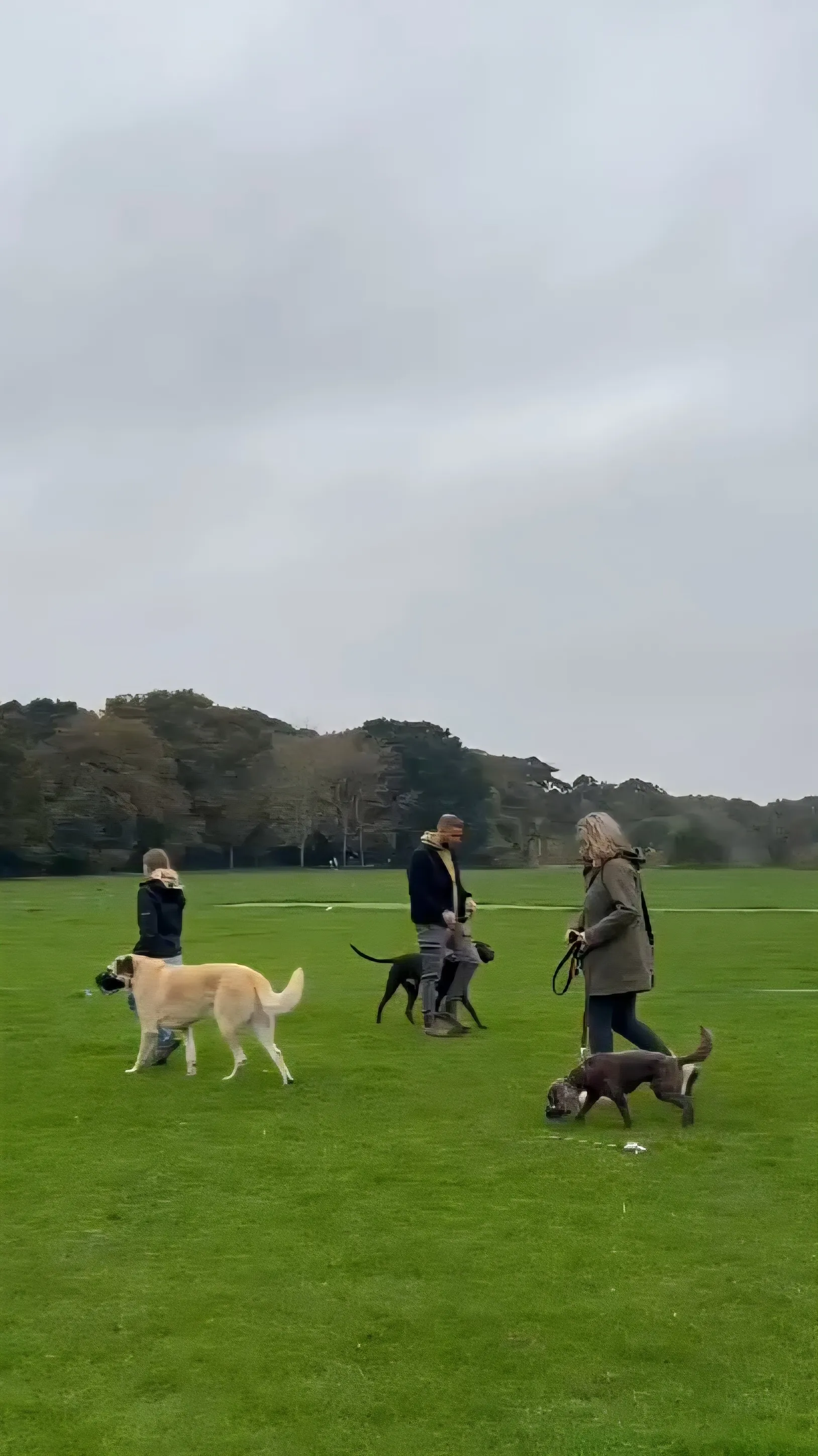 Social Fundamentals group training session at Slades Farm, Bournemouth