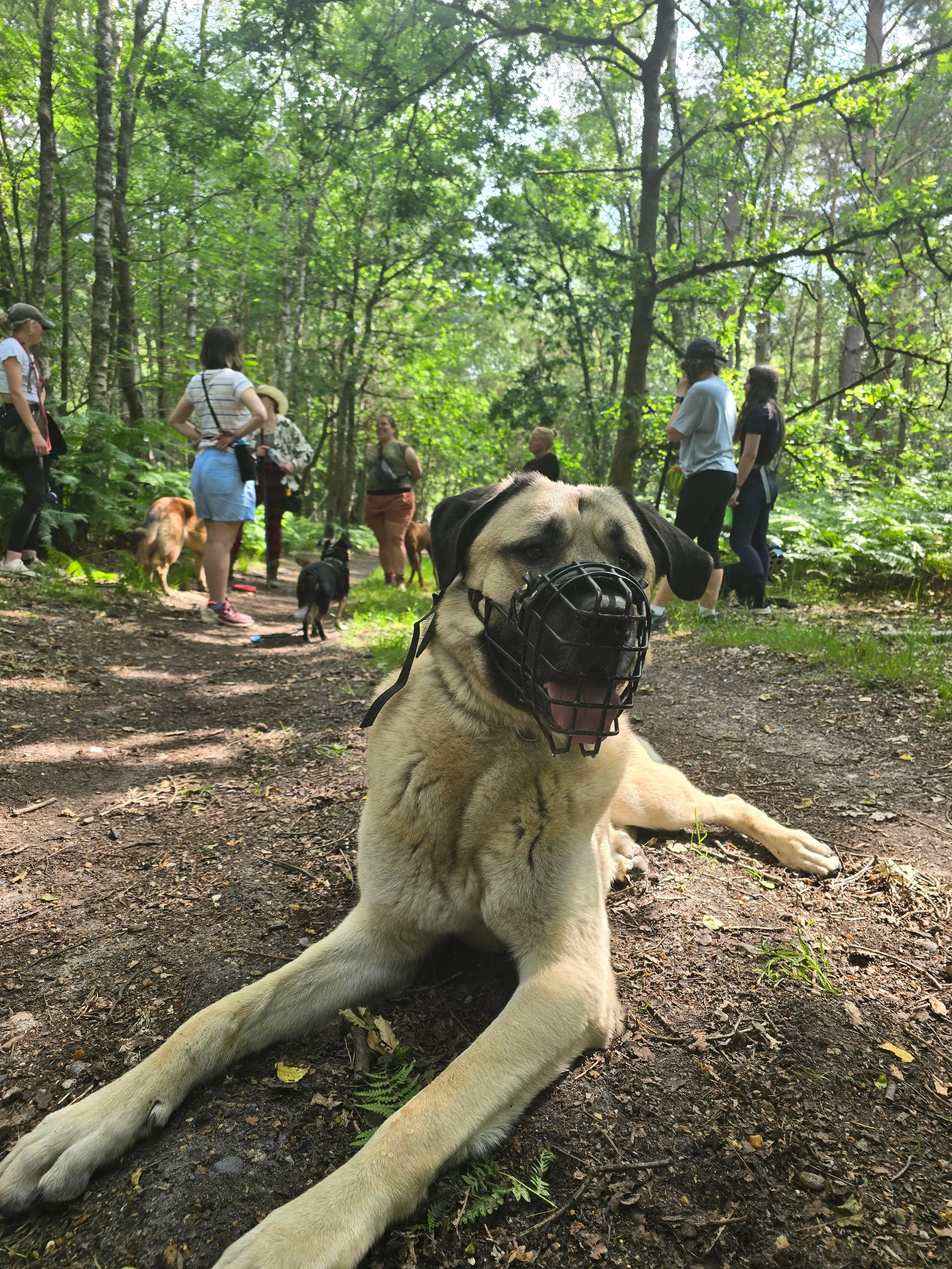 Social walk in Dorset