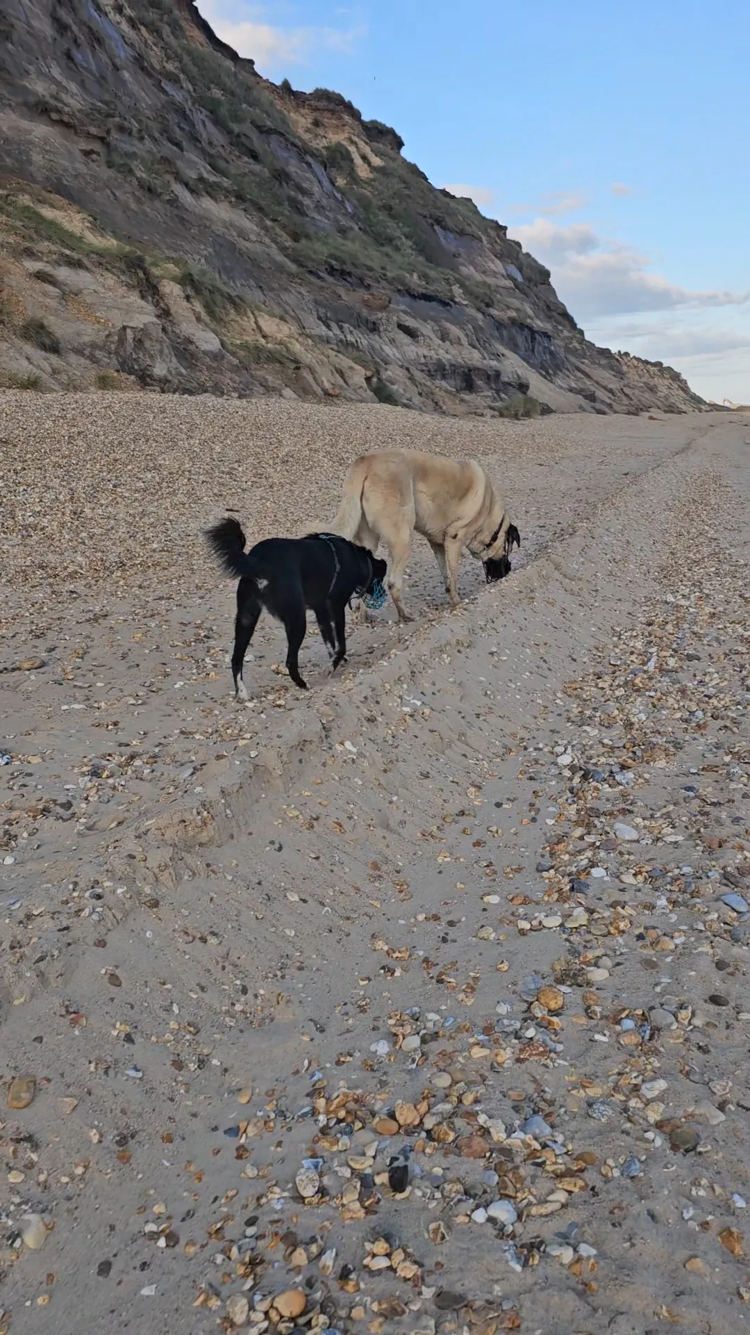 Social walk in Bournemouth