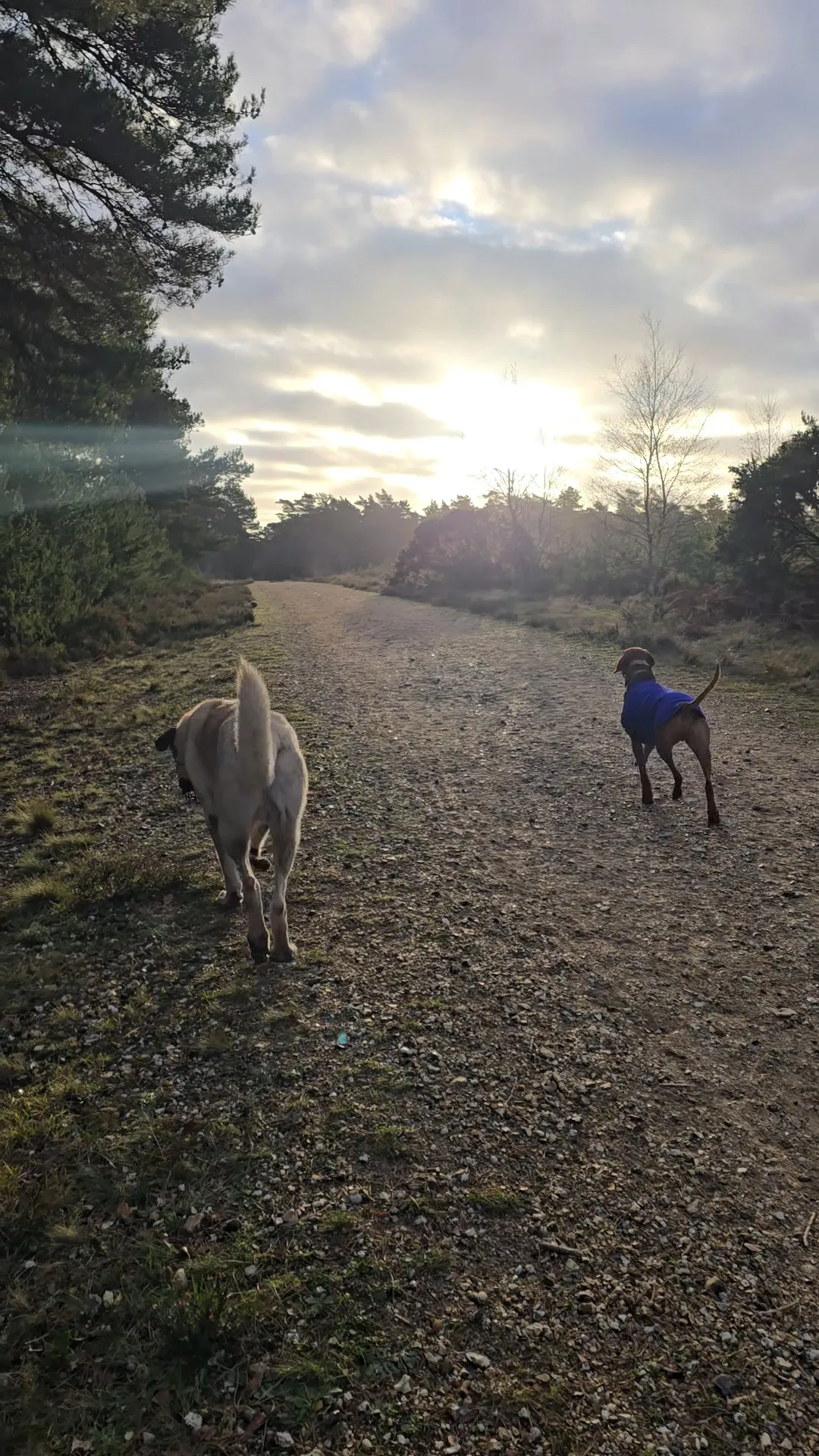 Social walk in Bournemouth